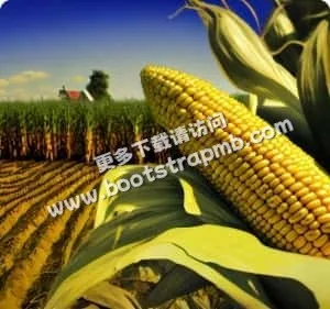 安全便捷，服务至上 - 欧亿体育